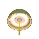 Trio TR55601115 LED Tischlampe ORTIZ | 2W integrierte LED-Quelle