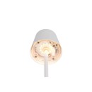 Trio TR55961131 LED Tischlampe DIAZ | 1,6W integrierte LED-Quelle