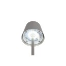 Trio TR55961177 LED Tischlampe DIAZ | 1,6W integrierte LED-Quelle