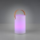 TRIO R57080101 Aruba Außen-Tischlampe LED 1x1W 3000K IP44