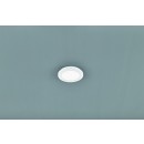 TRIO R62921001 Camillus Deckenleuchte SMD 1x9W 1000lm 3000K IP44