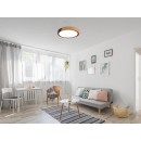 Trio R67201132 LED-Deckenleuchte Jano 1x20W | 2400lm | 3000K - 3-Phasen-Dimmung, schwarz, Holz