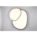 Trio T647519280 LED Deckenleuchte RISE | 45W integrierte LED-Quelle | 5300lm | 2700-6500K