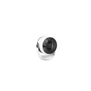 Trio Reality TR045-01 LED Ventilator mit Licht TEMPEST | 1W integrierte LED-Quelle
