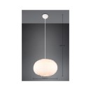 Trio Reality TR31581901 Pendelleuchte FURRY E27