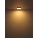 Globo 12381-22 LED Deckenleuchte TIBEY  | 22W integrierte LED-Quelle | 1800lm | 3000K