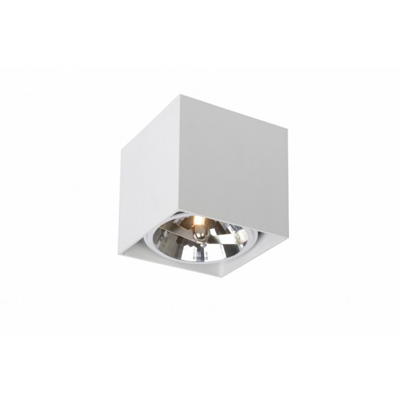 Decken- und Spotleuchte Lucide Dialo 1x35W QR111 - elegant
