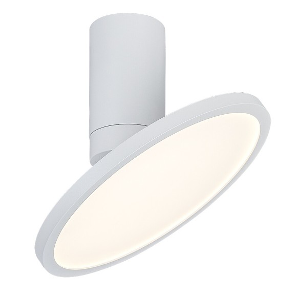Rabalux 98071328 LED Deckenleuchte Ovidia  | 20W integrierte LED-Quelle | 1370lm | 3000K