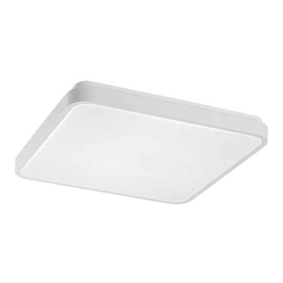 Rabalux 98071424 LED Außen-Deckenleuchte Alenzo  | 36W integrierte LED-Quelle | 2350lm | 3000-6500K