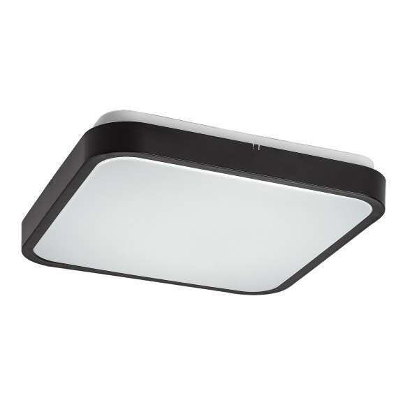 Rabalux 98071432 LED Außen-Deckenleuchte Alenzo | 24W integrierte LED-Quelle | 1450lm | 3000+4000+6500K