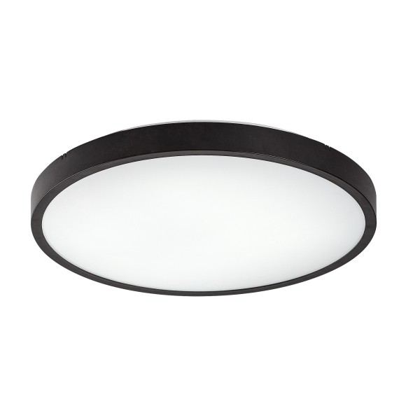 Rabalux 98071437 LED Außen-Deckenleuchte Alenzo  | 24W integrierte LED-Quelle | 1500lm | 3000+4000+6500K