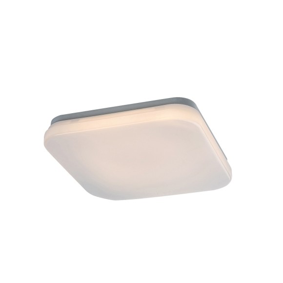 Rabalux 98077138 LED Außen-Deckenleuchte Lowar | 18W integrierte LED-Quelle | 1150lm | 4000K