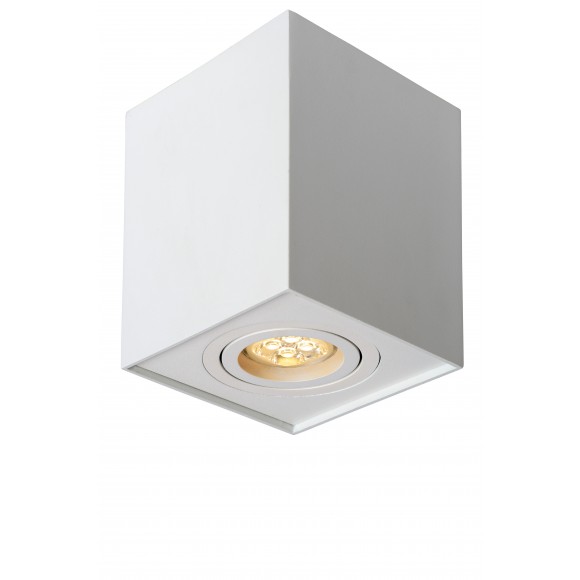 Lucide 22953/01/31 Decken- und Spotleuchte Tube 1x42W | GU10 |