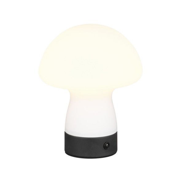 Trio TR54981131 LED Tischlampe DOOLEY | 1,5W integrierte LED-Quelle