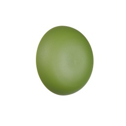 Trio TR24431115 LED Wandleuchte DAVEY | 1,5W integrierte LED-Quelle