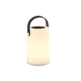 Trio R54066101 LED-Solar-Außenlampe Garcia 15lm | 3000K | RGBW | IP44